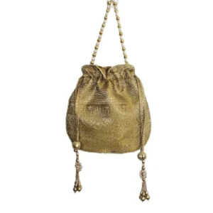 Golden Ikat Weave Mirror Potli